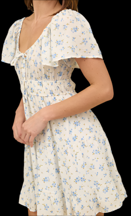 Blue Belle Dress